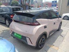 BYD Seagull Glory Edition 305km Freedom Version - ფოტო 7