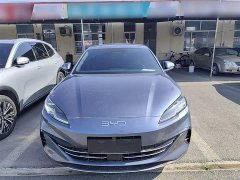 BYD Dolphin 06 DM-i Smart Drive Edition 80KM Luxury - ფოტო 3