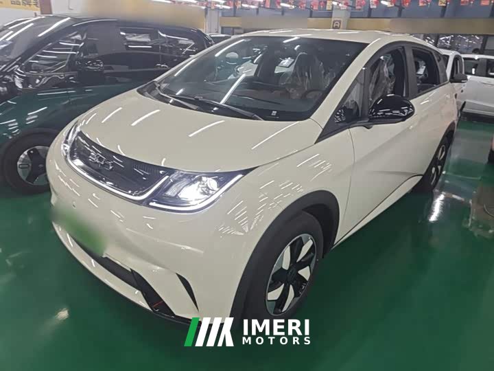 BYD Dolphin 2025 420km Freedom Edition - ავტომობილი ჩინეთიდან