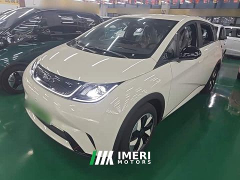 2026 BYD Dolphin 420km Freedom Edition