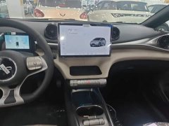 BYD Dolphin 2025 420km Freedom Edition - ფოტო 13