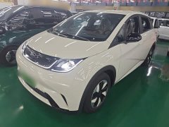 BYD Dolphin 2025 420km Freedom Edition - ფოტო 2