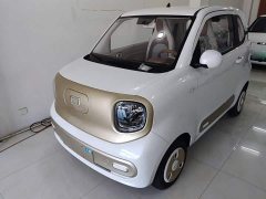 FAW Besturn Xiaoma 222km Colorful Edition - ფოტო 2