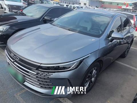 2024 BYD Destroyer 05 Champion Edition DM-i 55KM Luxury