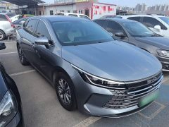 BYD Destroyer 05 2023 Champion Edition DM-i 55KM Luxury - ფოტო 4