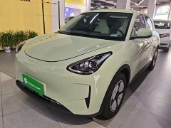 Geely Star Wish 2026 310km Youth Edition - ფოტო 1