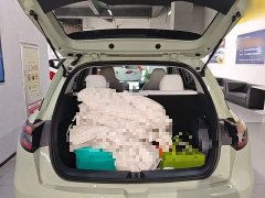 Geely Star Wish 2026 310km Youth Edition - ფოტო 19