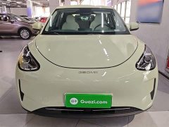 Geely Star Wish 2026 310km Youth Edition - ფოტო 3