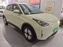 Geely Star Wish 2026 310km Youth Edition - ფოტო 4
