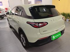 Geely Star Wish 2026 310km Youth Edition - ფოტო 5