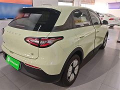 Geely Star Wish 2026 310km Youth Edition - ფოტო 7