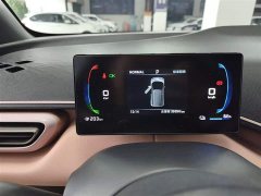 BYD Seagull Glory Edition 305km Vitality Version - ფოტო 12