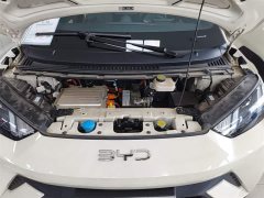 BYD Seagull Glory Edition 305km Vitality Version - ფოტო 20
