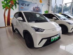 BYD Seagull Glory Edition 305km Vitality Version - ფოტო 4
