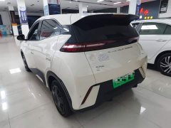 BYD Seagull Glory Edition 305km Vitality Version - ფოტო 5