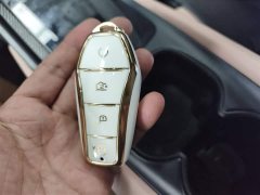 BYD Seagull Glory Edition 305km Vitality Version - ფოტო 9