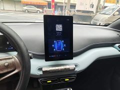 BYD Seagull Flying Edition - ფოტო 13