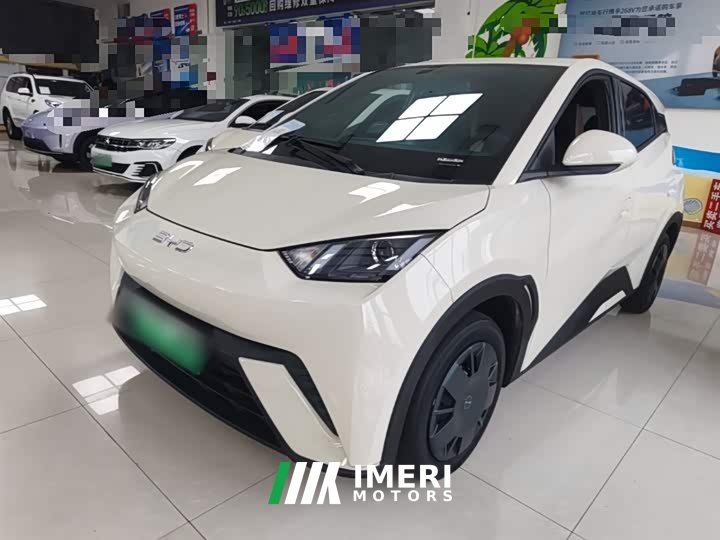 BYD Seagull Glory Edition 305km Vitality Version - ავტომობილი ჩინეთიდან