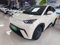 BYD Seagull Glory Edition 305km Vitality Version - ფოტო 1