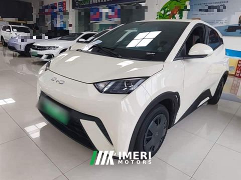 2024 BYD Seagull Glory Edition 305km Vitality Version