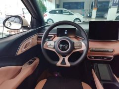 BYD Seagull Glory Edition 305km Vitality Version - ფოტო 11