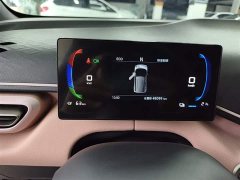 BYD Seagull Glory Edition 305km Vitality Version - ფოტო 12