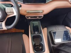 BYD Seagull Glory Edition 305km Vitality Version - ფოტო 14