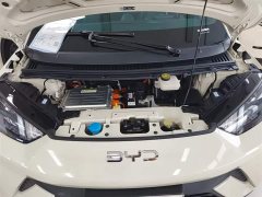 BYD Seagull Glory Edition 305km Vitality Version - ფოტო 20