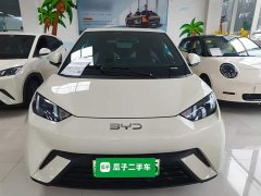 BYD Seagull Glory Edition 305km Vitality Version - ფოტო 3