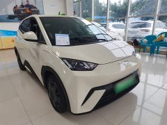 BYD Seagull Glory Edition 305km Vitality Version - ფოტო 4