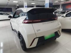 BYD Seagull Glory Edition 305km Vitality Version - ფოტო 5