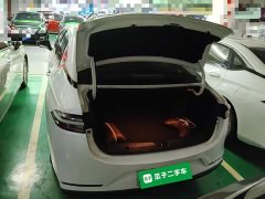 GAC AION S Plus Comfort Edition 53.241kWh - ფოტო 19