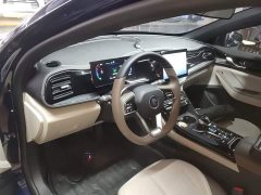 BYD Qin PLUS 2024 Glory Edition DM-i 55KM Leading - ფოტო 10