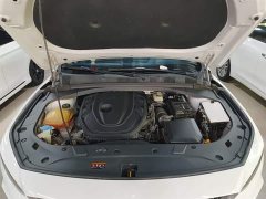 Geely Xingrui Facelift 2.0T Diesel Premium - ფოტო 20