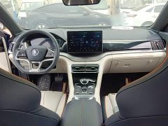 BYD Song Plus New Energy 2021 DM-i 110KM Flagship Plus - ფოტო 10
