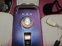 Geely Geometry E Firefly 2022 401KM Linglong Tiger 4-Seater - ფოტო 14