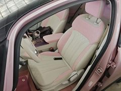 Geely Geometry E Firefly 2022 401KM Linglong Tiger 4-Seater - ფოტო 15