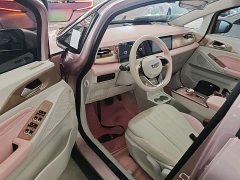 Geely Geometry E Firefly 2022 401KM Linglong Tiger 4-Seater - ფოტო 16