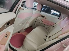 Geely Geometry E Firefly 2022 401KM Linglong Tiger 4-Seater - ფოტო 17
