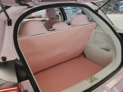Geely Geometry E Firefly 2022 401KM Linglong Tiger 4-Seater - ფოტო 19