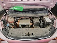 Geely Geometry E Firefly 2022 401KM Linglong Tiger 4-Seater - ფოტო 20