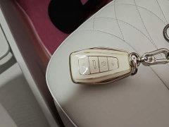 Geely Geometry E Firefly 2022 401KM Linglong Tiger 4-Seater - ფოტო 9