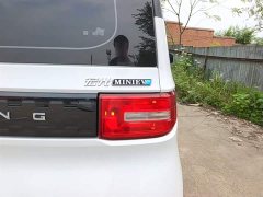 Wuling Hongguang MINIEV 2020 Zizai Edition LFP Battery - ფოტო 8