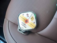 Wuling Binguo 2023 410km Lingxi Premium Edition - ფოტო 9