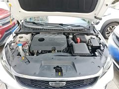 Geely Binrui 2021 1.4T CVT Asian Games Edition - ფოტო 20
