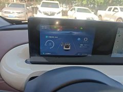 Wuling Binguo 2024 333km Joy Edition - ფოტო 12