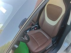 Wuling Binguo 2024 333km Joy Edition - ფოტო 15
