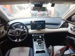 BYD Yuan Plus 2022 430KM Luxury - ფოტო 10