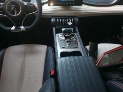 BYD Yuan Plus 2022 430KM Luxury - ფოტო 14