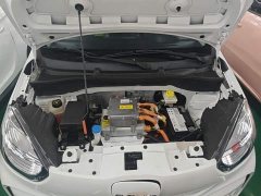 SAIC Corey Wei CLEVER 302km New Four-Seat Super Version - ფოტო 20